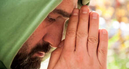 inamic-intelepciune-budista