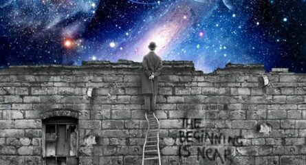 persepctive-profunde