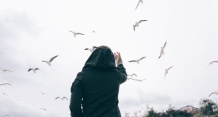 pilda-privighetoarea-regele-solomon