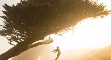 cand-ajungi-la-fund-sa-te-ridici