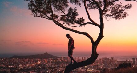 universul-ofera-ceea-ce-trebuie