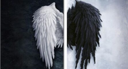 echilibru-lumina-intuneric