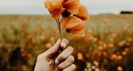 esenta-sensului-vietii